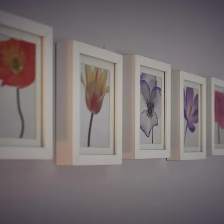 Apartamento Tonka *