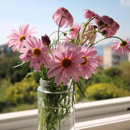 Apartmán Tonka Trogir